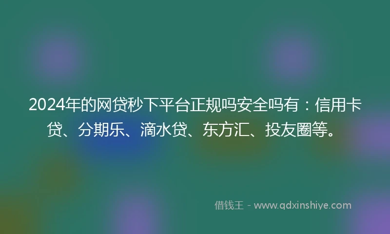 2024年的网贷秒下平台正规吗安全吗有：信用卡贷、分期乐、滴水贷、东方汇、投友圈等。