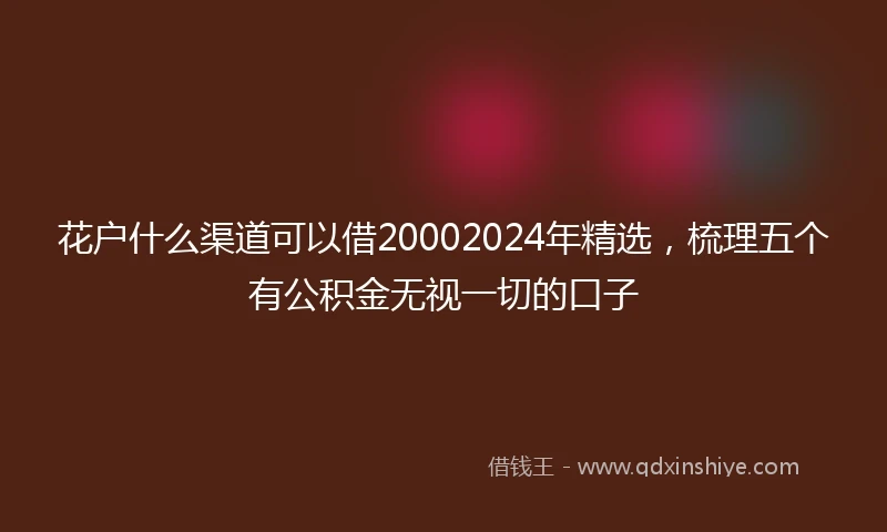 花户什么渠道可以借20002024年精选，梳理五个有公积金无视一切的口子