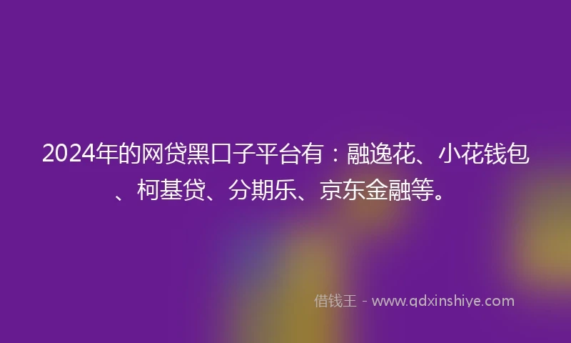 2024年的网贷黑口子平台有：融逸花、小花钱包、柯基贷、分期乐、京东金融等。