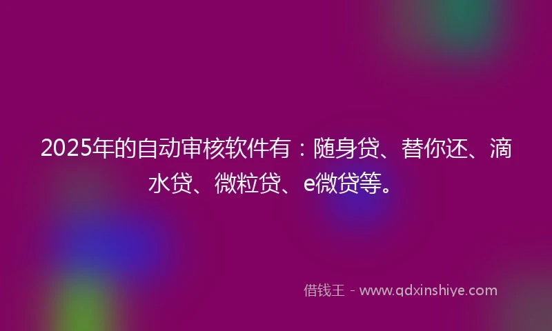 2025年的自动审核软件有：随身贷、替你还、滴水贷、微粒贷、e微贷等。
