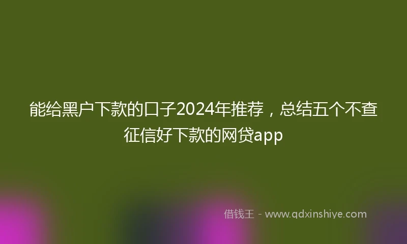 能给黑户下款的口子2024年推荐，总结五个不查征信好下款的网贷app