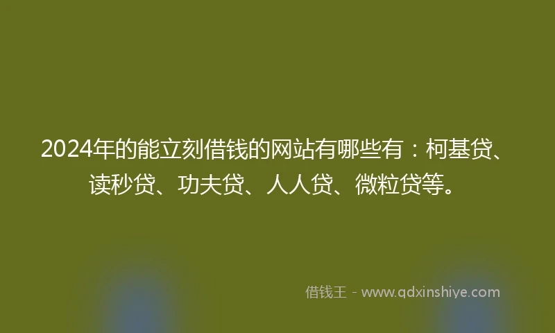 2024年的能立刻借钱的网站有哪些有：柯基贷、读秒贷、功夫贷、人人贷、微粒贷等。