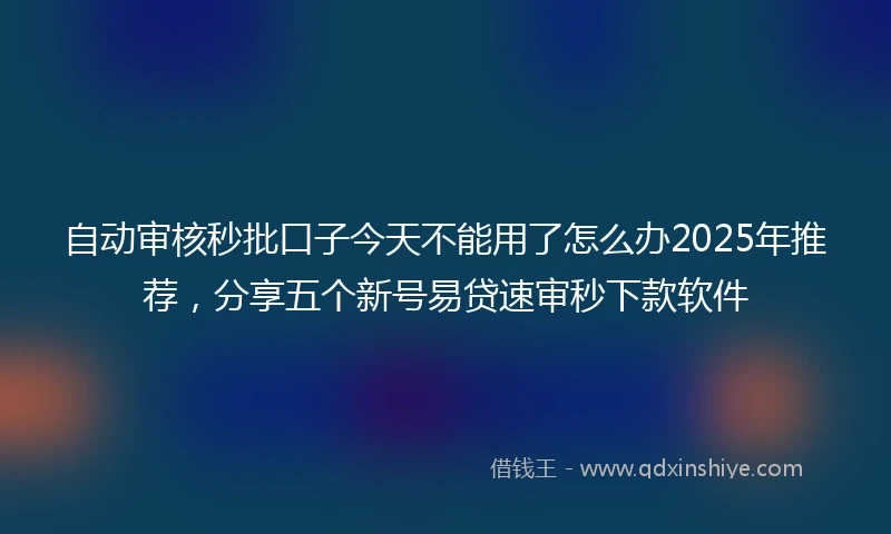 自动审核秒批口子今天不能用了怎么办2025年推荐，分享五个新号易贷速审秒下款软件