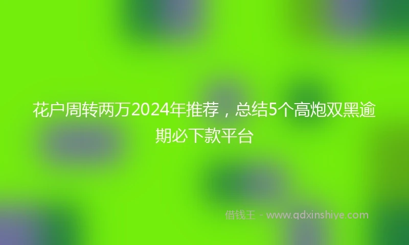 花户周转两万2024年推荐，总结5个高炮双黑逾期必下款平台