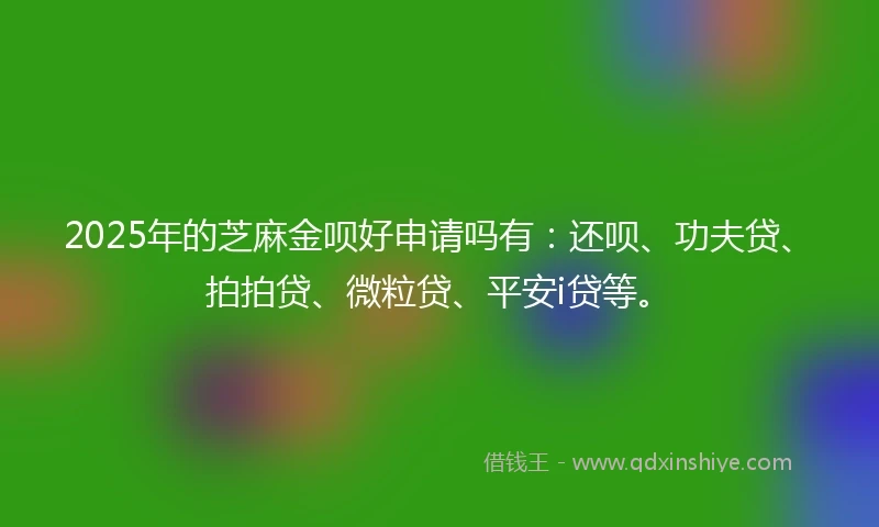 2025年的芝麻金呗好申请吗有：还呗、功夫贷、拍拍贷、微粒贷、平安i贷等。