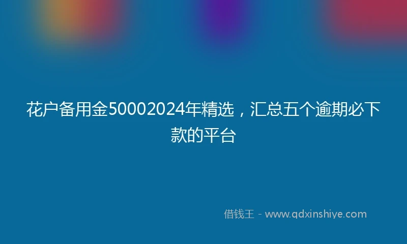 花户备用金50002024年精选，汇总五个逾期必下款的平台