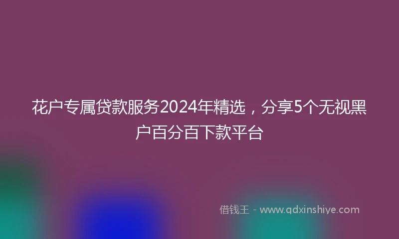 花户专属贷款服务2024年精选，分享5个无视黑户百分百下款平台