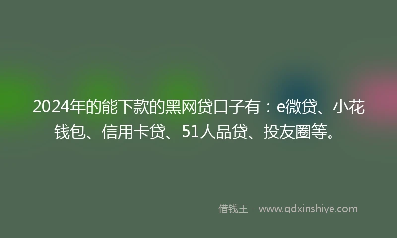 2024年的能下款的黑网贷口子有：e微贷、小花钱包、信用卡贷、51人品贷、投友圈等。