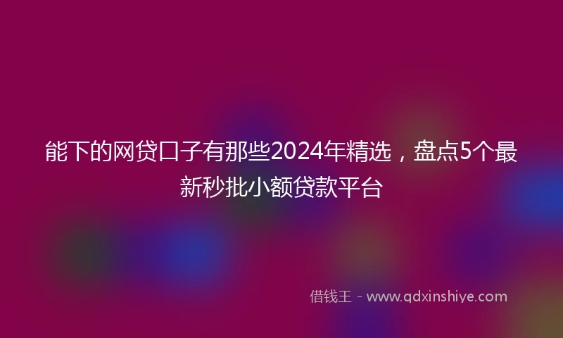 能下的网贷口子有那些2024年精选，盘点5个最新秒批小额贷款平台