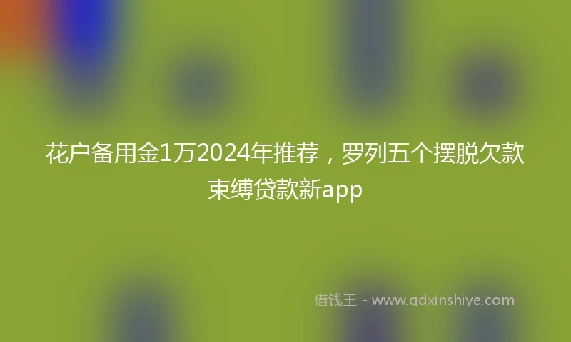 花户备用金1万2024年推荐，罗列五个摆脱欠款束缚贷款新app
