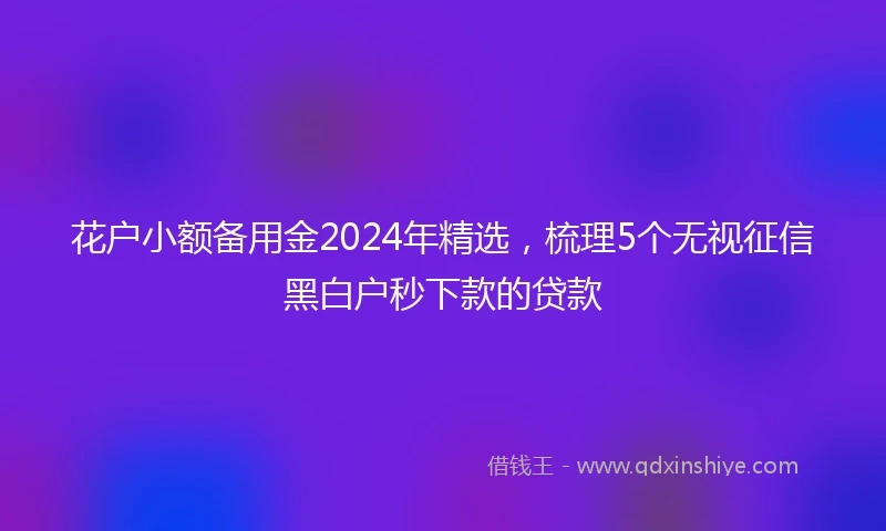 花户小额备用金2024年精选，梳理5个无视征信黑白户秒下款的贷款