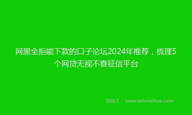 网黑全拒能下款的口子论坛2024年推荐，梳理5个网贷无视不查征信平台