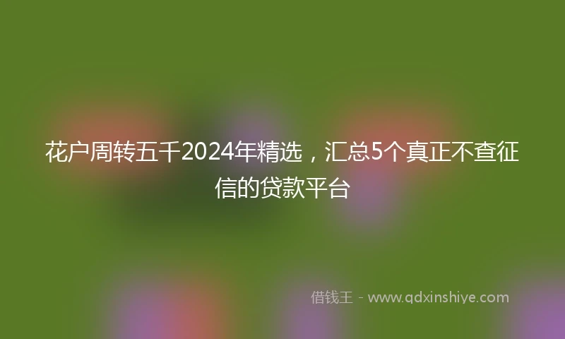 花户周转五千2024年精选，汇总5个真正不查征信的贷款平台