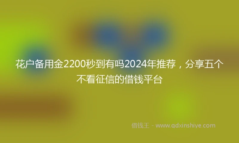 花户备用金2200秒到有吗2024年推荐，分享五个不看征信的借钱平台