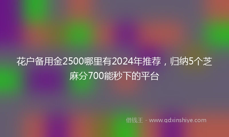 花户备用金2500哪里有2024年推荐，归纳5个芝麻分700能秒下的平台