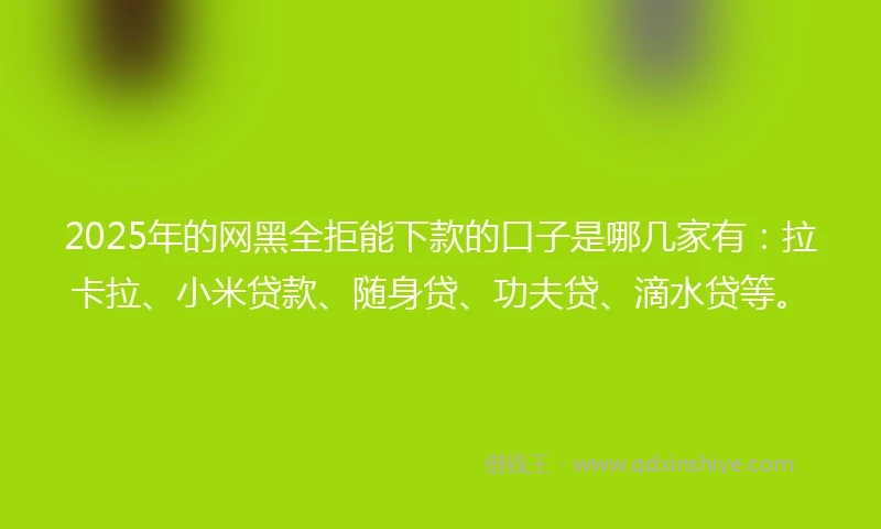2025年的网黑全拒能下款的口子是哪几家有：拉卡拉、小米贷款、随身贷、功夫贷、滴水贷等。