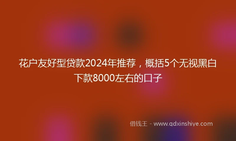 花户友好型贷款2024年推荐，概括5个无视黑白下款8000左右的口子