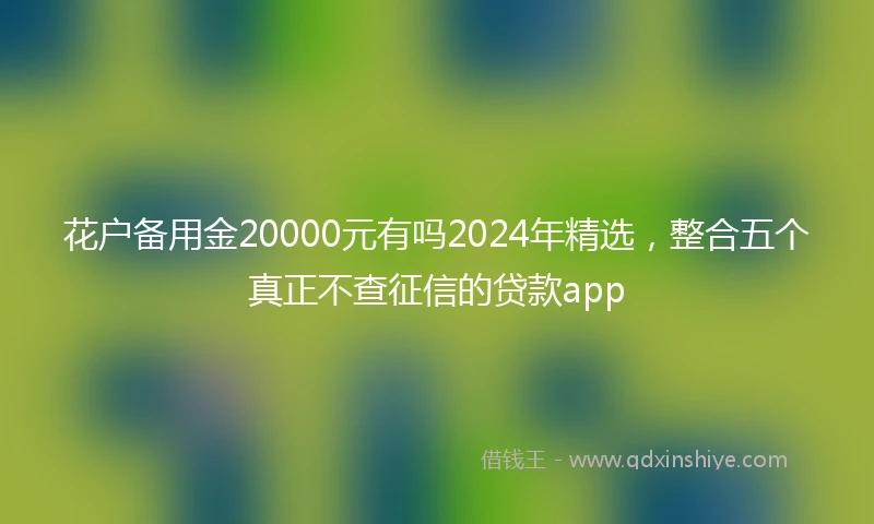 花户备用金20000元有吗2024年精选，整合五个真正不查征信的贷款app