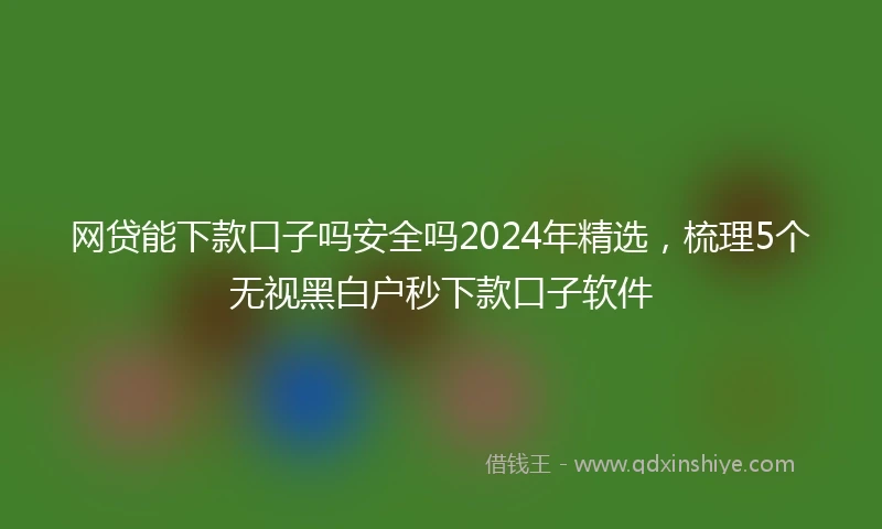 网贷能下款口子吗安全吗2024年精选，梳理5个无视黑白户秒下款口子软件