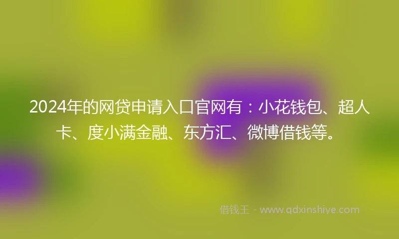 2024年的网贷申请入口官网有:小花钱包、超人卡、度小满金融、东方汇、微博借钱等。