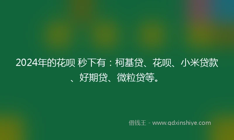 2024年的花呗 秒下有：柯基贷、花呗、小米贷款、好期贷、微粒贷等。