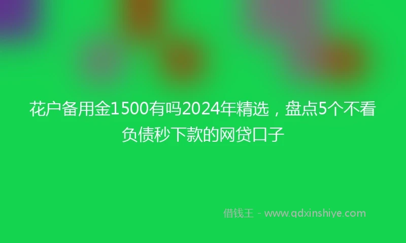 花户备用金1500有吗2024年精选，盘点5个不看负债秒下款的网贷口子