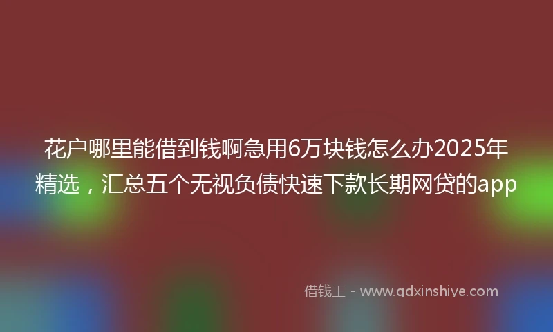 花户哪里能借到钱啊急用6万块钱怎么办2025年精选，汇总五个无视负债快速下款长期网贷的app