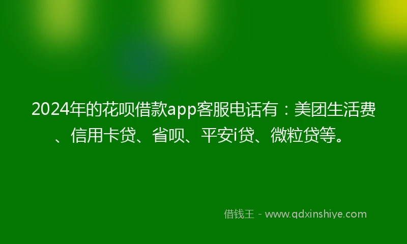 2024年的花呗借款app客服电话有：美团生活费、信用卡贷、省呗、平安i贷、微粒贷等。