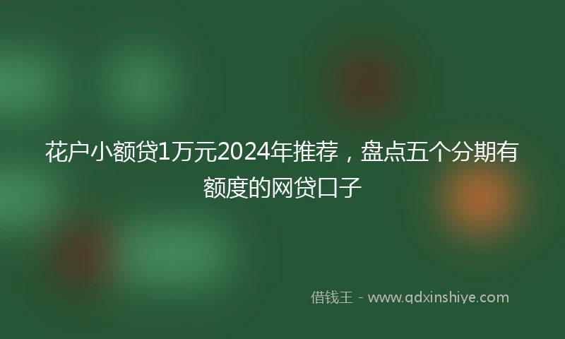 花户小额贷1万元2024年推荐，盘点五个分期有额度的网贷口子