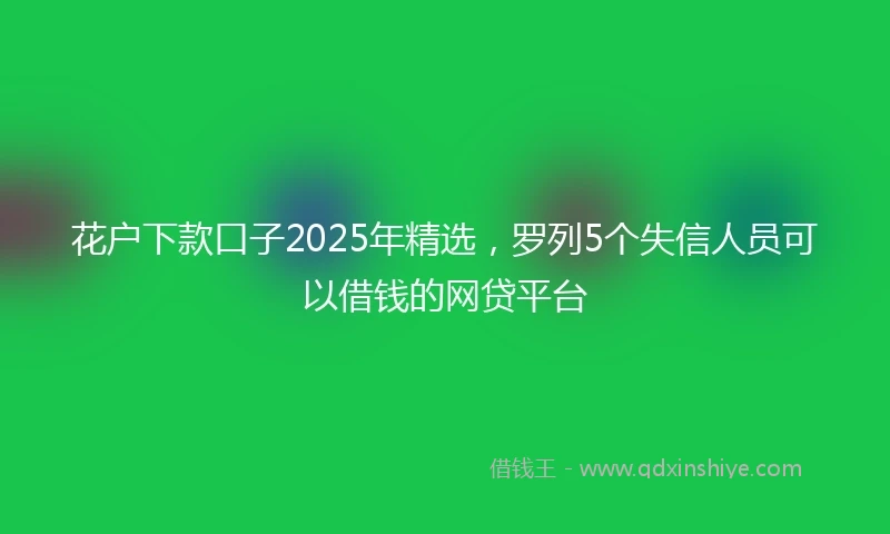 花户下款口子2025年精选，罗列5个失信人员可以借钱的网贷平台