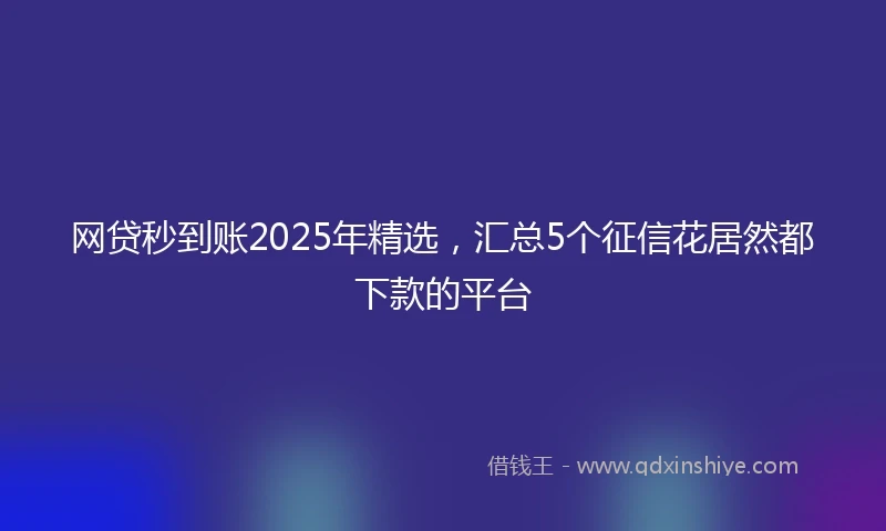 网贷秒到账2025年精选，汇总5个征信花居然都下款的平台