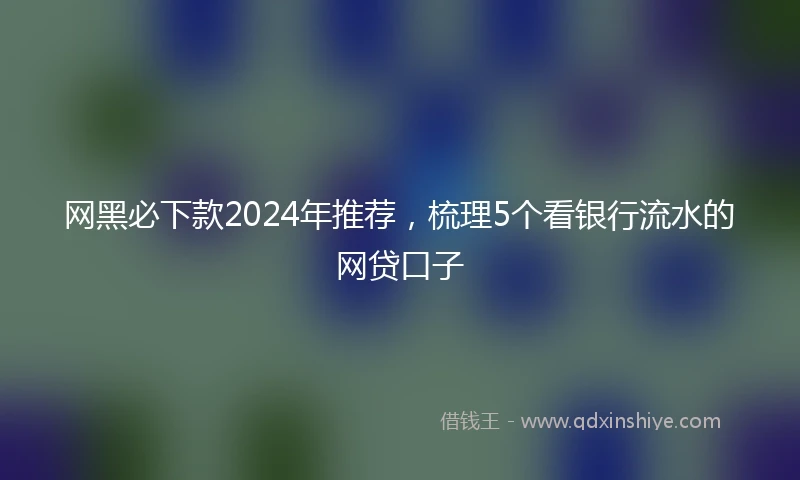 网黑必下款2024年推荐，梳理5个看银行流水的网贷口子
