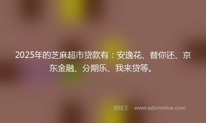 2025年的芝麻超市贷款有：安逸花、替你还、京东金融、分期乐、我来贷等。
