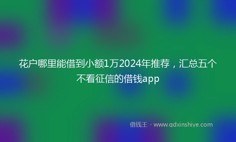 花户哪里能借到小额1万2024年推荐，汇总五个不看征信的借钱app