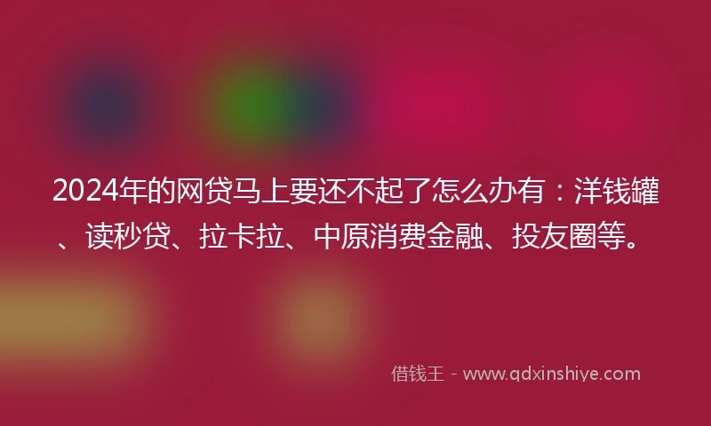 2024年的网贷马上要还不起了怎么办有：洋钱罐、读秒贷、拉卡拉、中原消费金融、投友圈等。