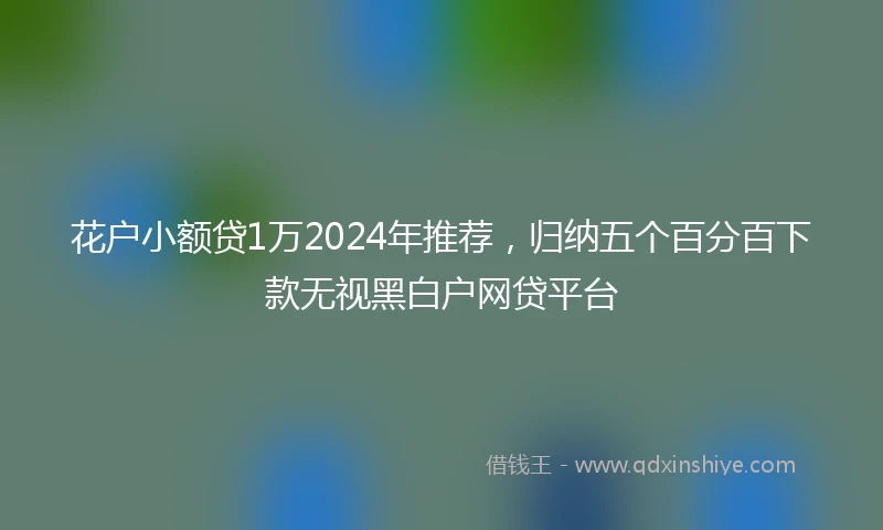 花户小额贷1万2024年推荐，归纳五个百分百下款无视黑白户网贷平台