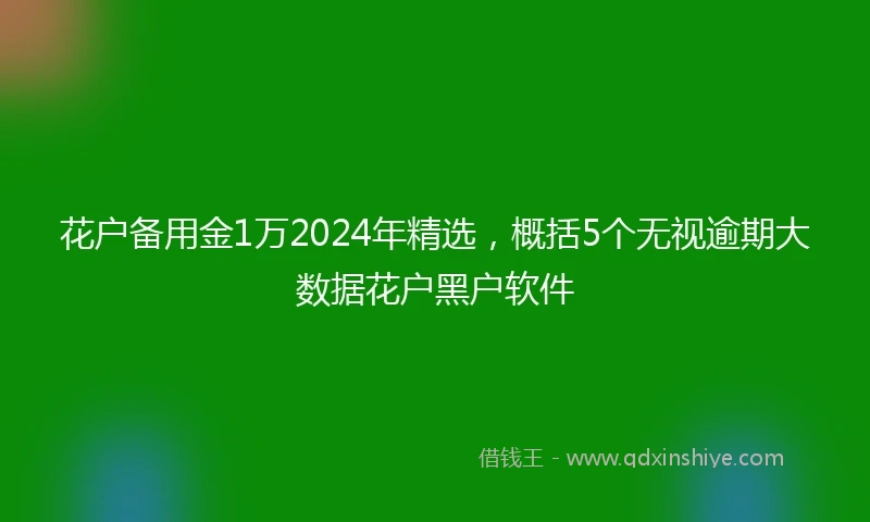 花户备用金1万2024年精选,概括5个无视逾期大数据花户黑户软件