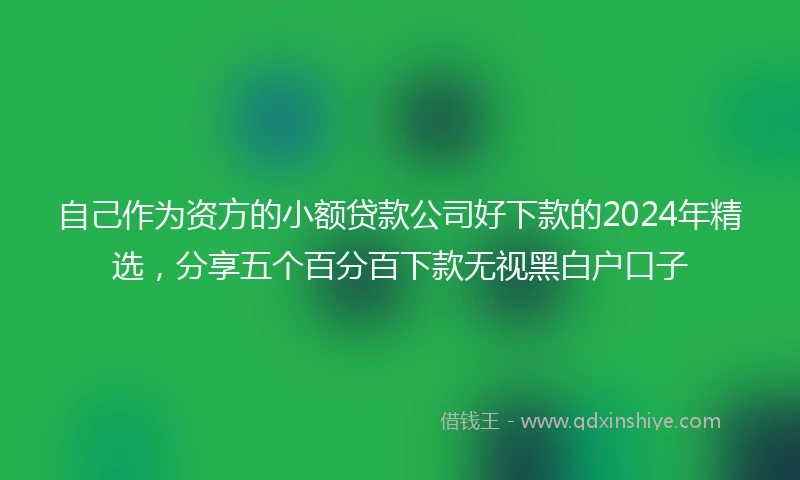 自己作为资方的小额贷款公司好下款的2024年精选，分享五个百分百下款无视黑白户口子