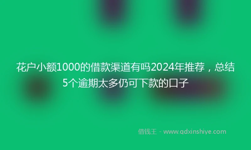 花户小额1000的借款渠道有吗2024年推荐,总结5个逾期太多仍可下款的口子