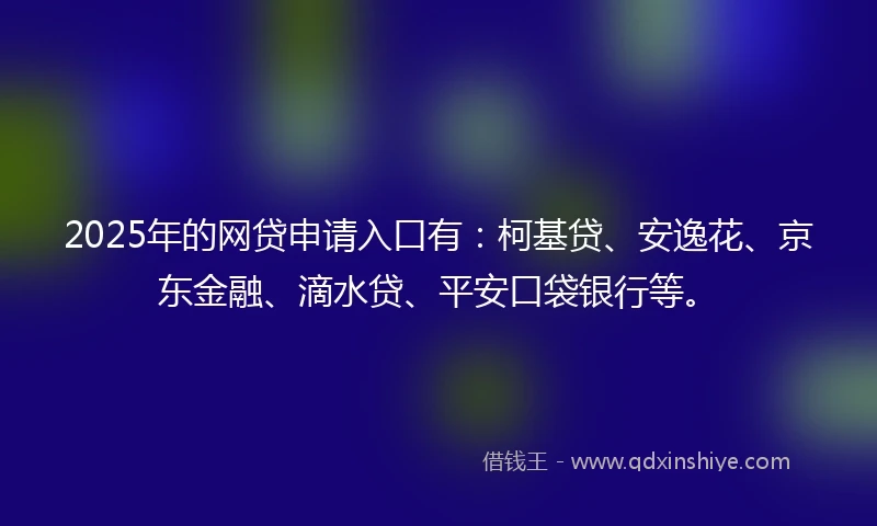 2025年的网贷申请入口有：柯基贷、安逸花、京东金融、滴水贷、平安口袋银行等。