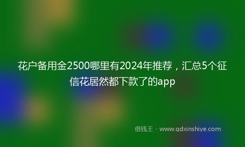 花户备用金2500哪里有2024年推荐，汇总5个征信花居然都下款了的app