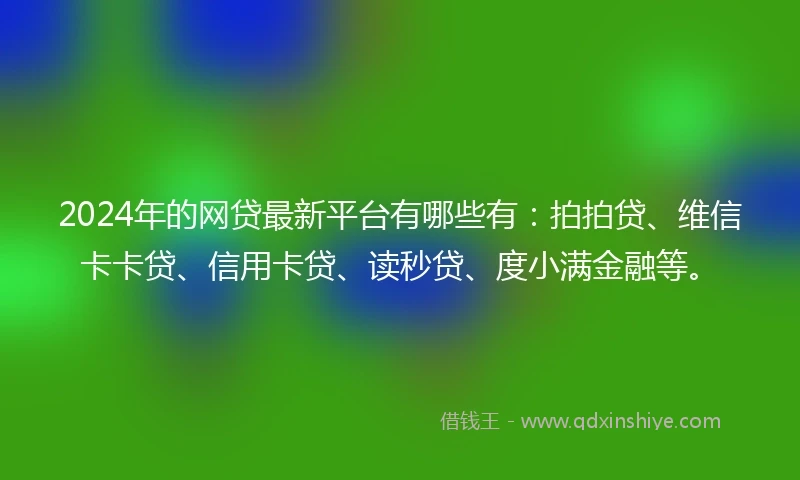 2024年的网贷最新平台有哪些有：拍拍贷、维信卡卡贷、信用卡贷、读秒贷、度小满金融等。