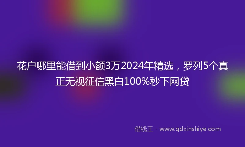 花户哪里能借到小额3万2024年精选，罗列5个真正无视征信黑白100%秒下网贷