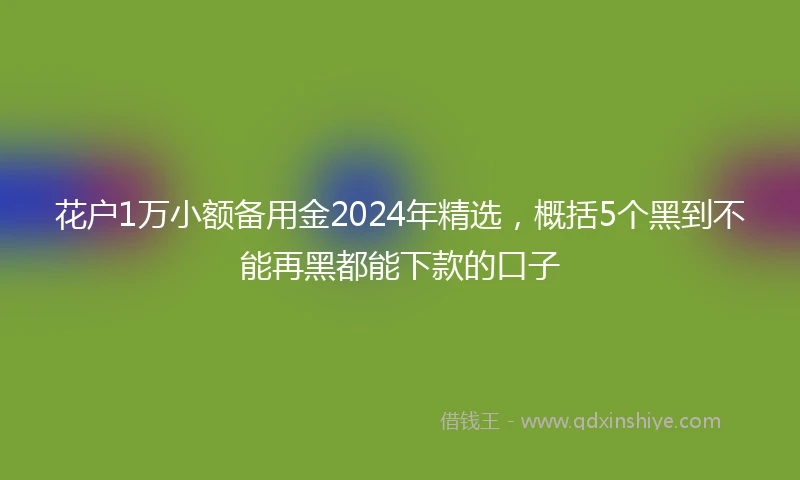 花户1万小额备用金2024年精选，概括5个黑到不能再黑都能下款的口子