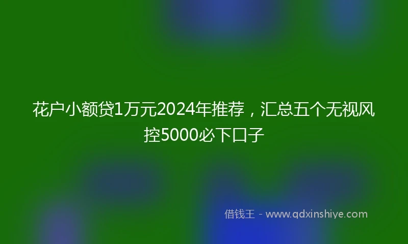 花户小额贷1万元2024年推荐，汇总五个无视风控5000必下口子
