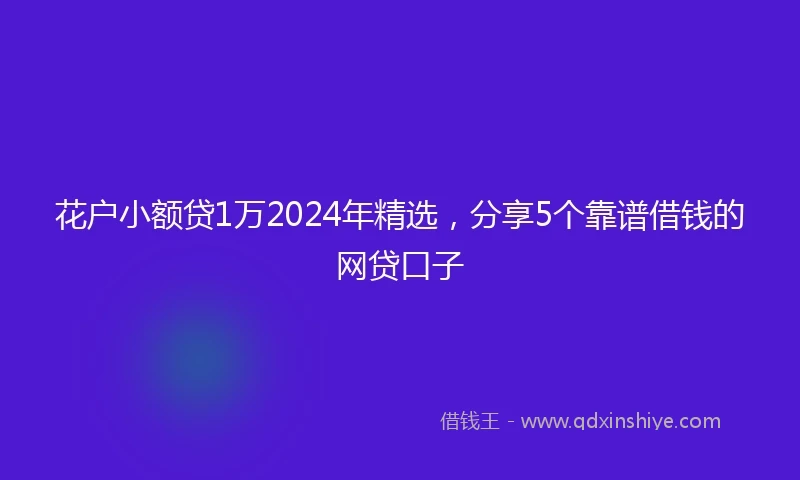 花户小额贷1万2024年精选，分享5个靠谱借钱的网贷口子