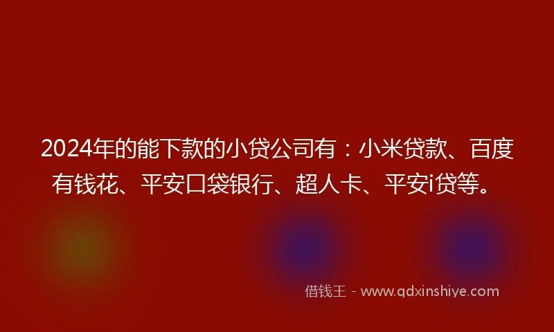 2024年的能下款的小贷公司有：小米贷款、百度有钱花、平安口袋银行、超人卡、平安i贷等。
