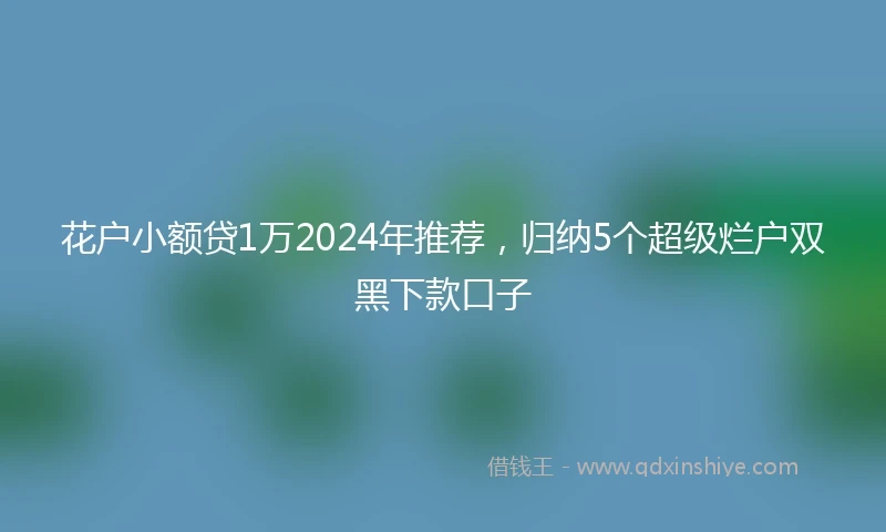 花户小额贷1万2024年推荐，归纳5个超级烂户双黑下款口子