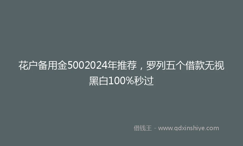 花户备用金5002024年推荐，罗列五个借款无视黑白100%秒过