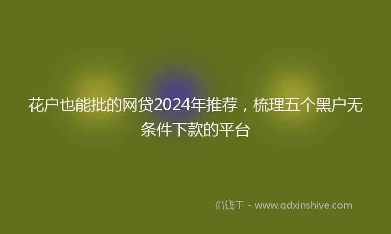 花户也能批的网贷2024年推荐，梳理五个黑户无条件下款的平台